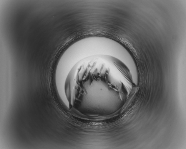 X0000095940260200802081243