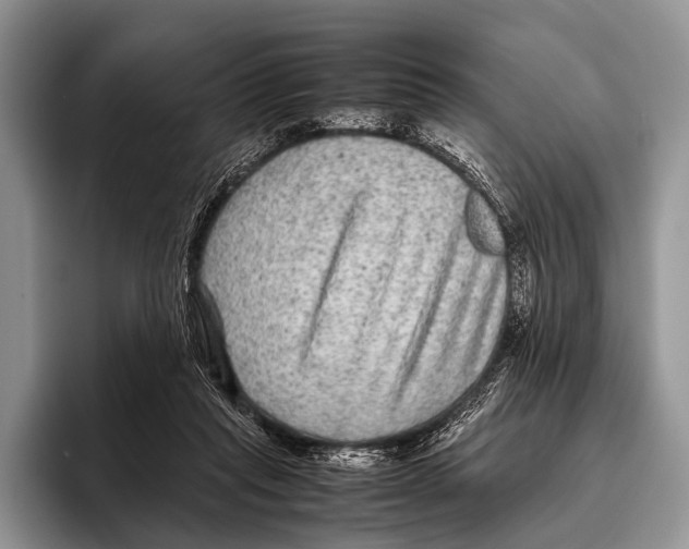 X0000095940261200802081243