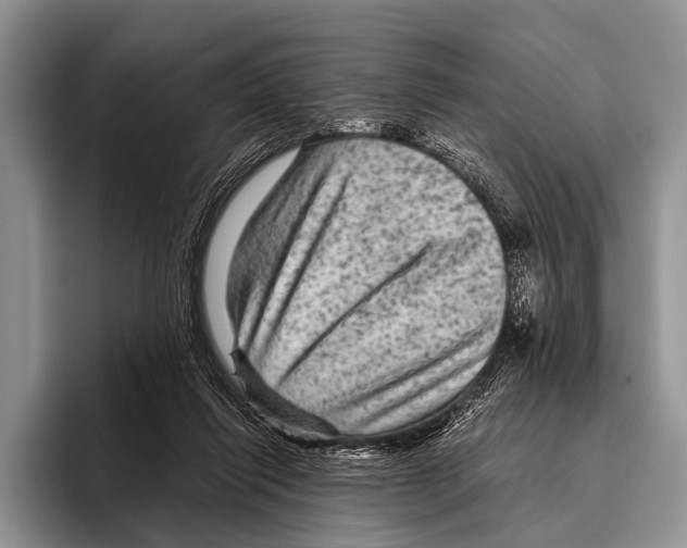 X0000095940262200802081243