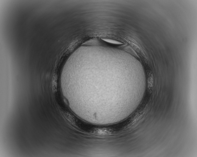 X0000095940264200802081243