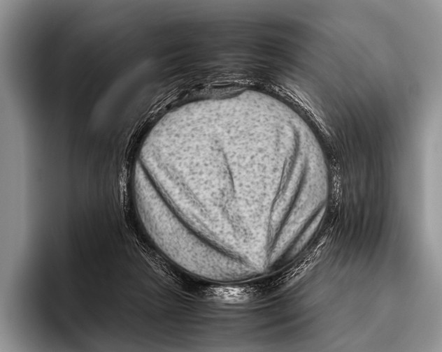 X0000095940265200802081243