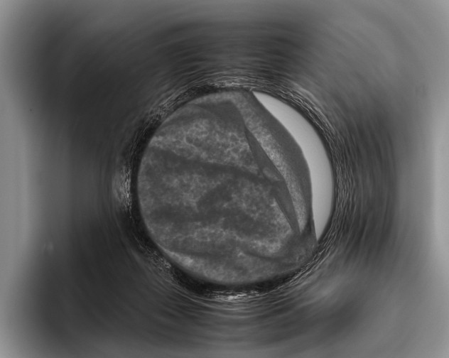 X0000095940267200802081243