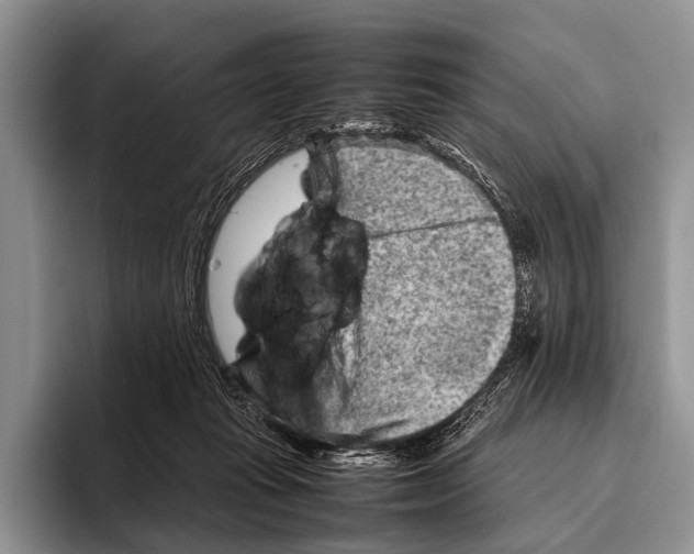 X0000095940269200802081243