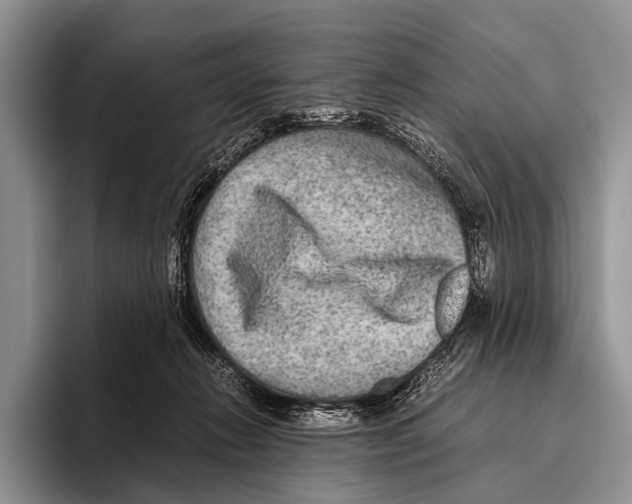 X0000095940270200802081243