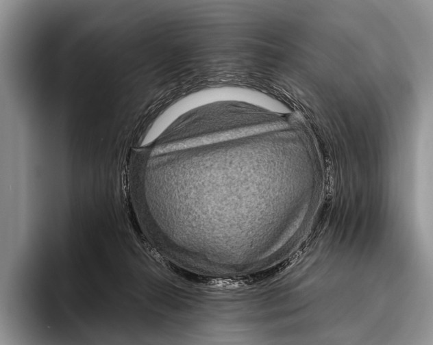 X0000095940272200802081243