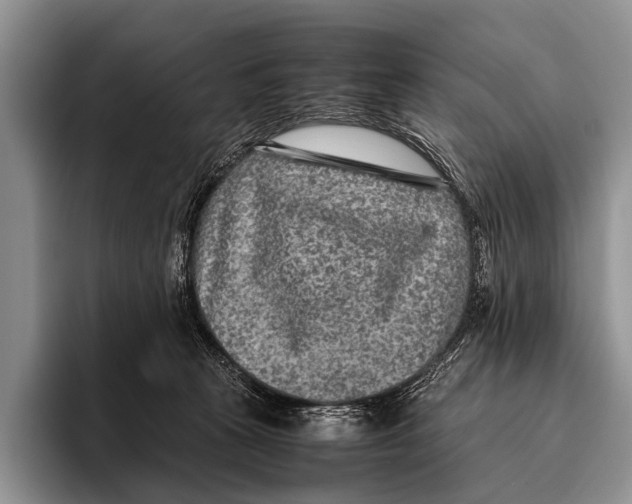 X0000095940273200802081243