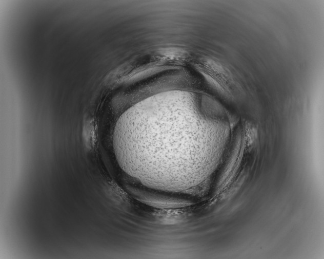 X0000095940276200802081243