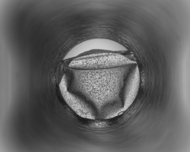 X0000095940278200802081243