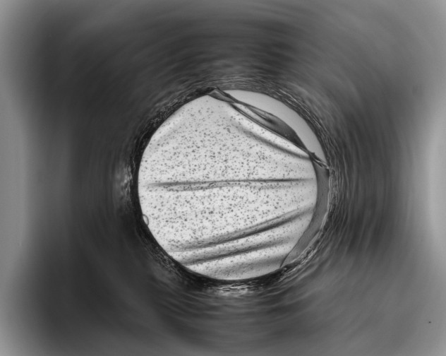 X0000095940279200802081243