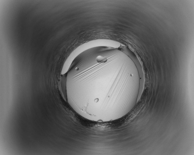 X0000095940280200802081243