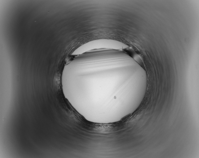 X0000095940288200802081243