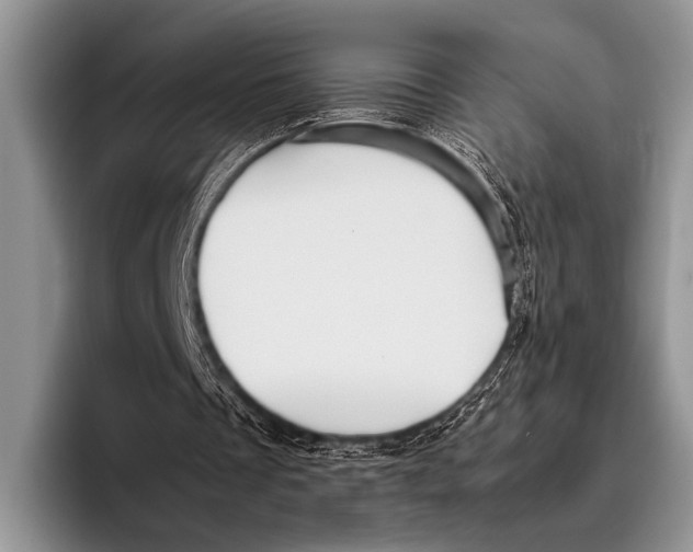 X0000095940289200802081243