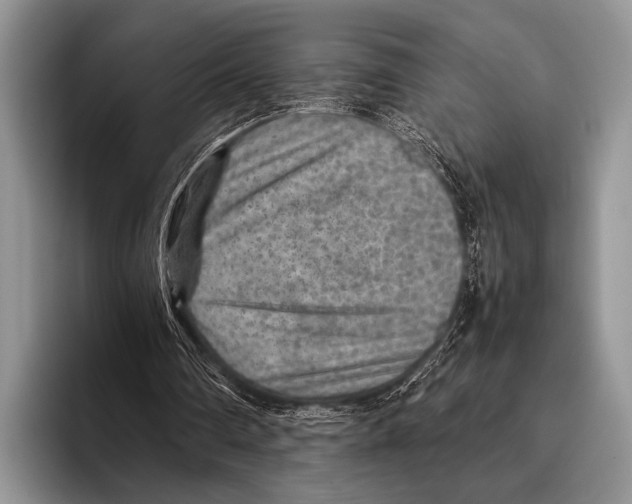 X0000095940290200802081243