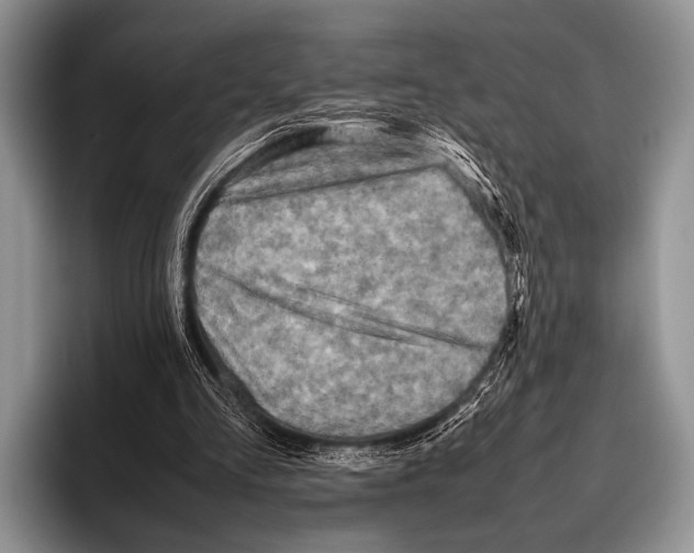 X0000095940293200802081243