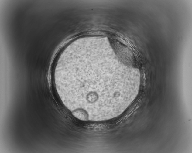 X0000095940294200802081243