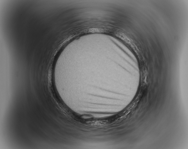 X0000095940297200802081243