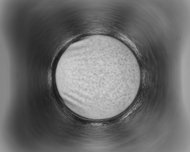 X0000095940298200802081243