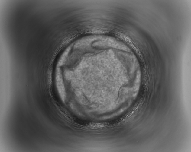 X0000095940299200802081243