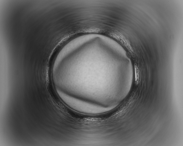 X0000095940300200802081243