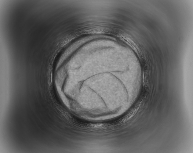 X0000095940301200802081242