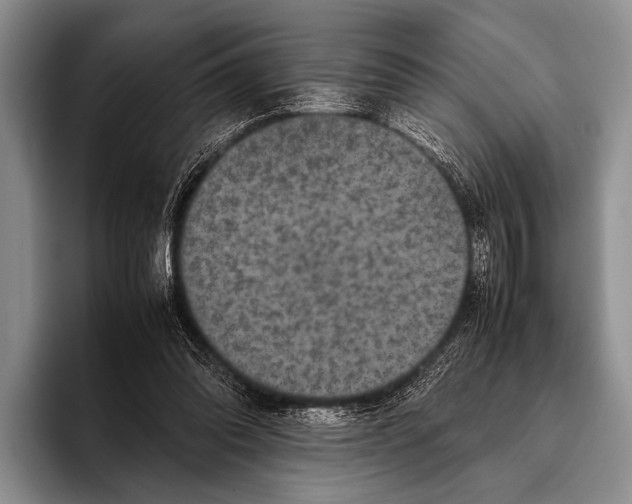 X0000095940302200802081242