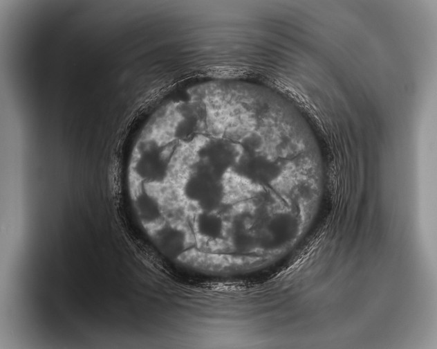 X0000095940303200802081242