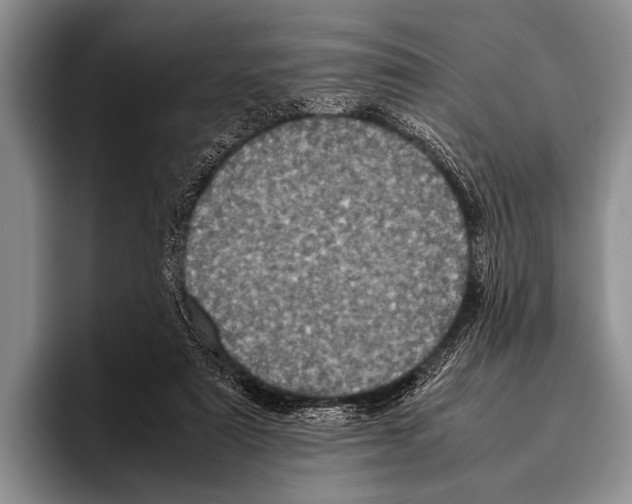 X0000095940307200802081242