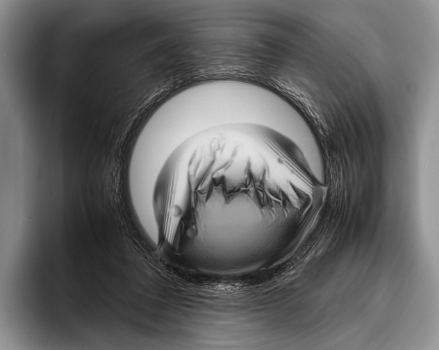 X0000095940308200802081242