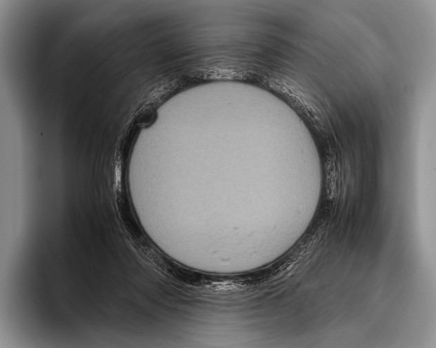 X0000095940310200802081242