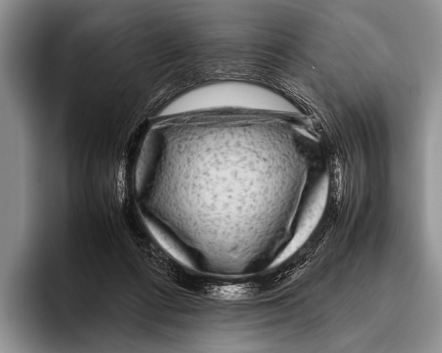 X0000095940312200802081242