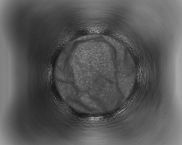 X0000095940314200802081242