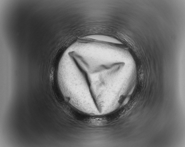 X0000095940315200802081242