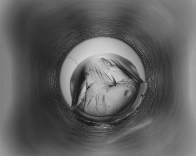 X0000095940316200802081242