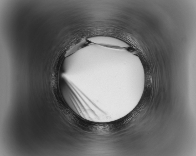 X0000095940317200802081242