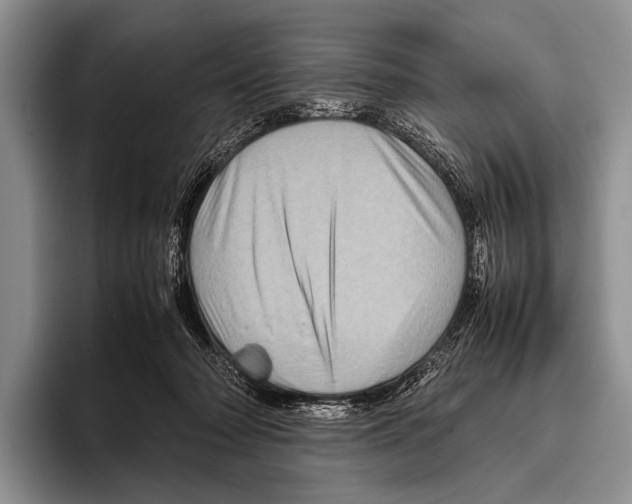 X0000095940318200802081242