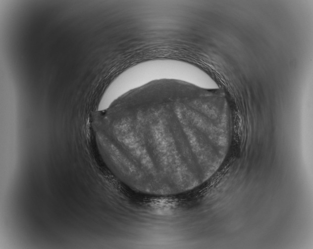 X0000095940319200802081242