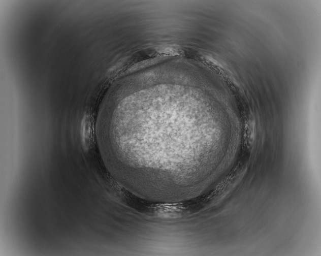 X0000095940320200802081242