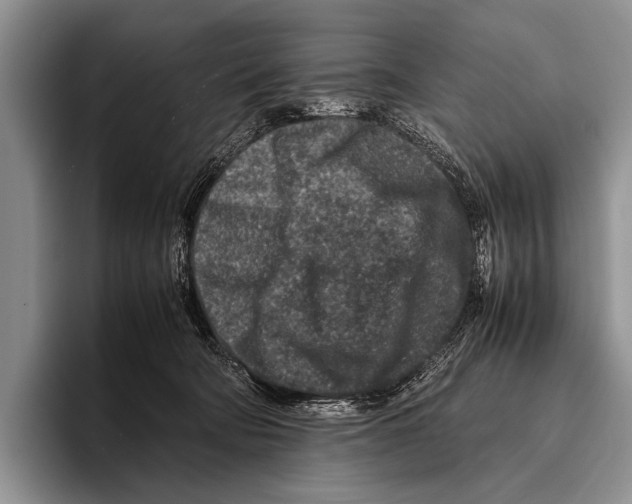 X0000095940322200802081242