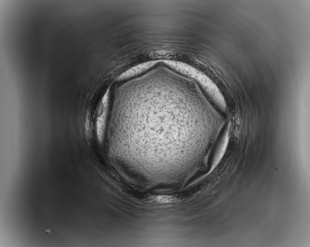 X0000095940324200802081242