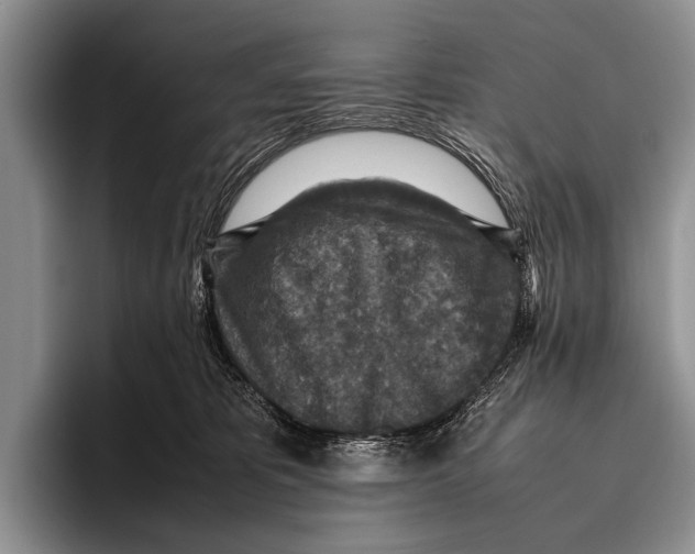 X0000095940325200802081242