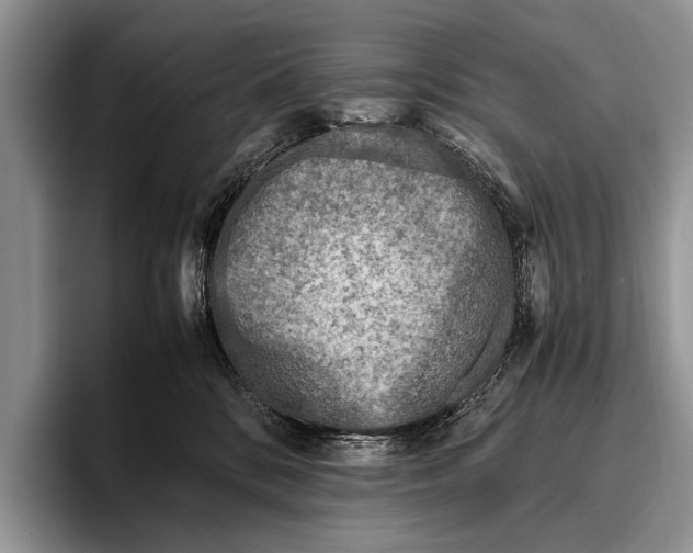 X0000095940328200802081242