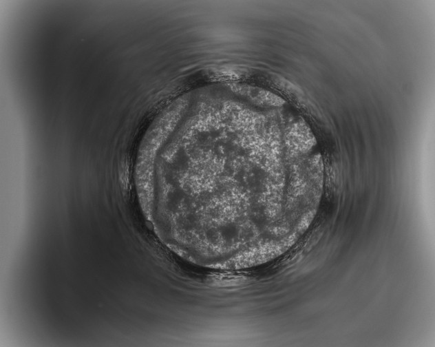 X0000095940331200802081242