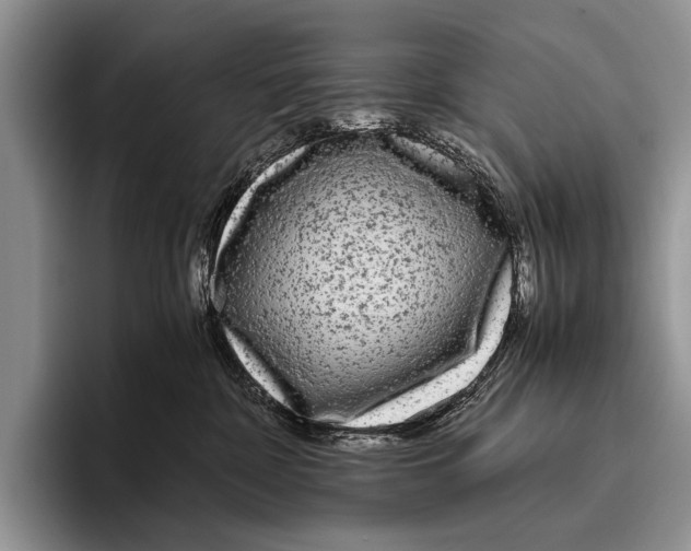 X0000095940332200802081242