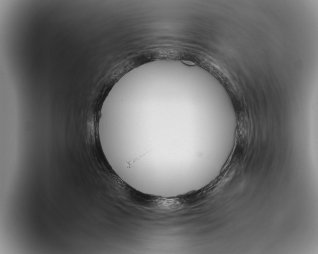 X0000095940333200802081242