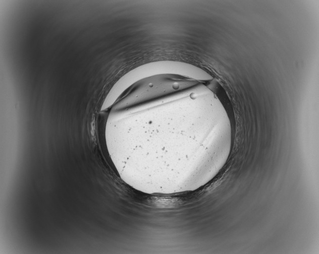 X0000095940336200802081242