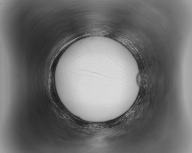 X0000095940338200802081241