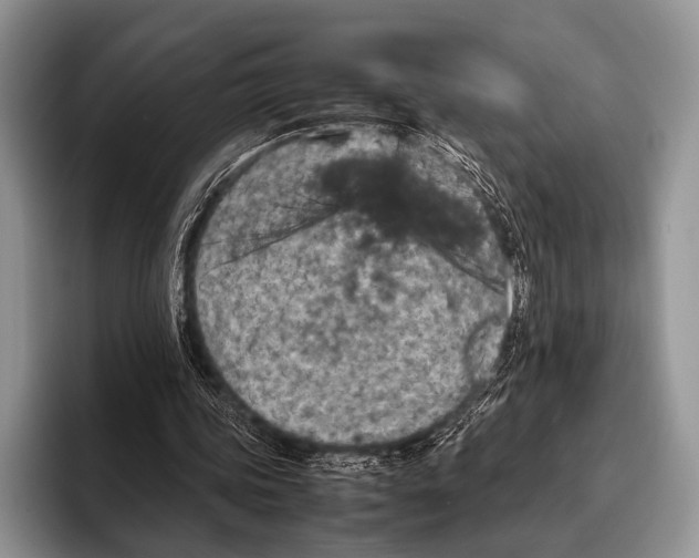 X0000095940339200802081241