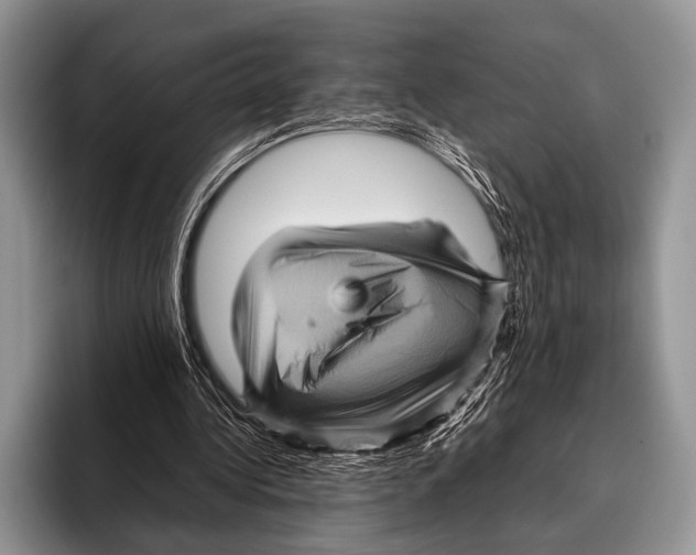 X0000095940340200802081241