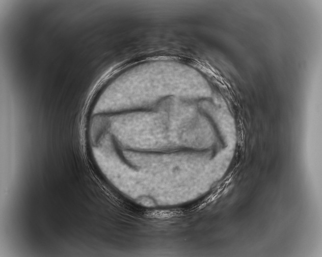 X0000095940341200802081241