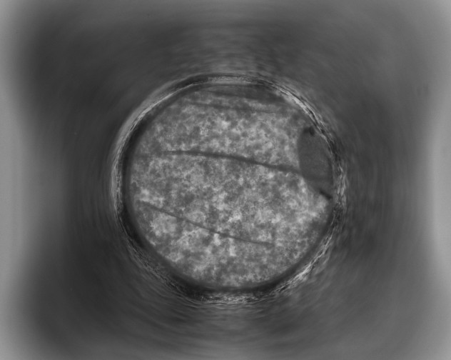 X0000095940343200802081241